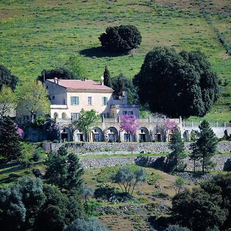 La Ventulella Bed and Breakfast Moltifao Exterior foto