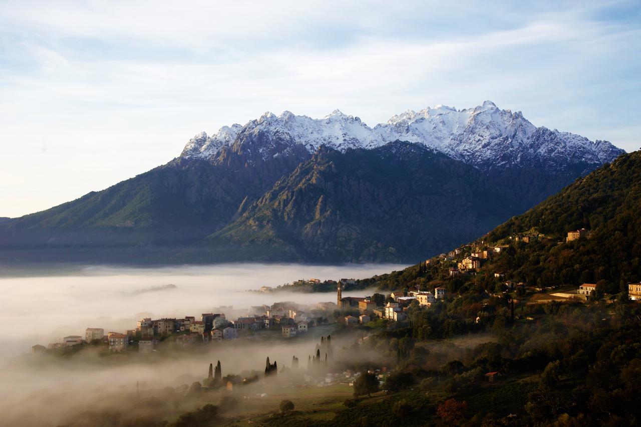La Ventulella Bed and Breakfast Moltifao Exterior foto