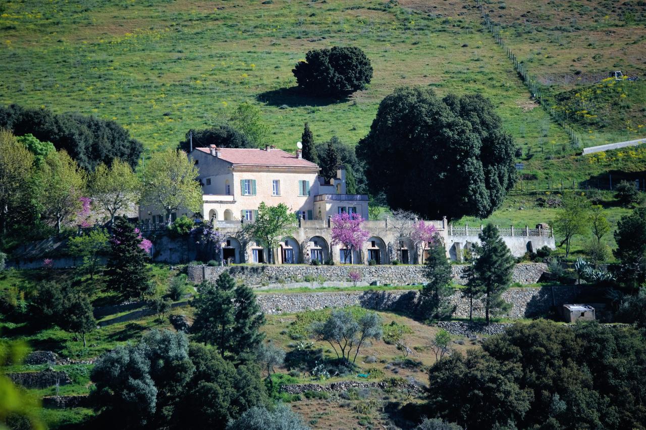 La Ventulella Bed and Breakfast Moltifao Exterior foto